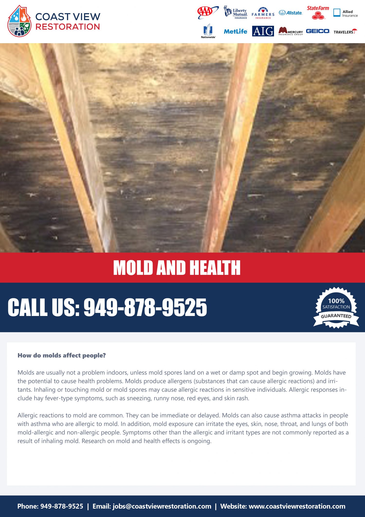 Mold And Health | Coast View Plumbing & Restoration